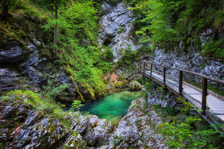 Slovenia - Vintgar Gorge